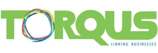torqus-systems-pvt-ltd--indore-dvjzp
